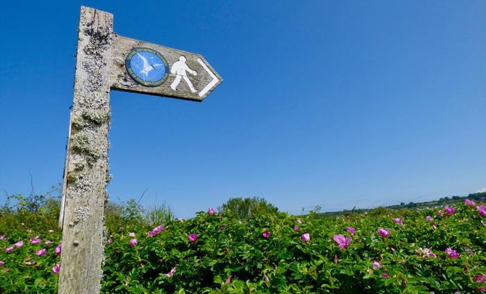 Tyddyn Isaf is ideally situated for walkers of the Welsh Coast Path and offers walkers discounted tent pitches